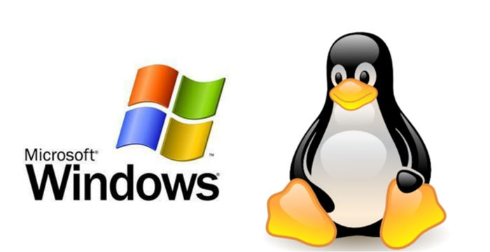 Linux Windows dual boot